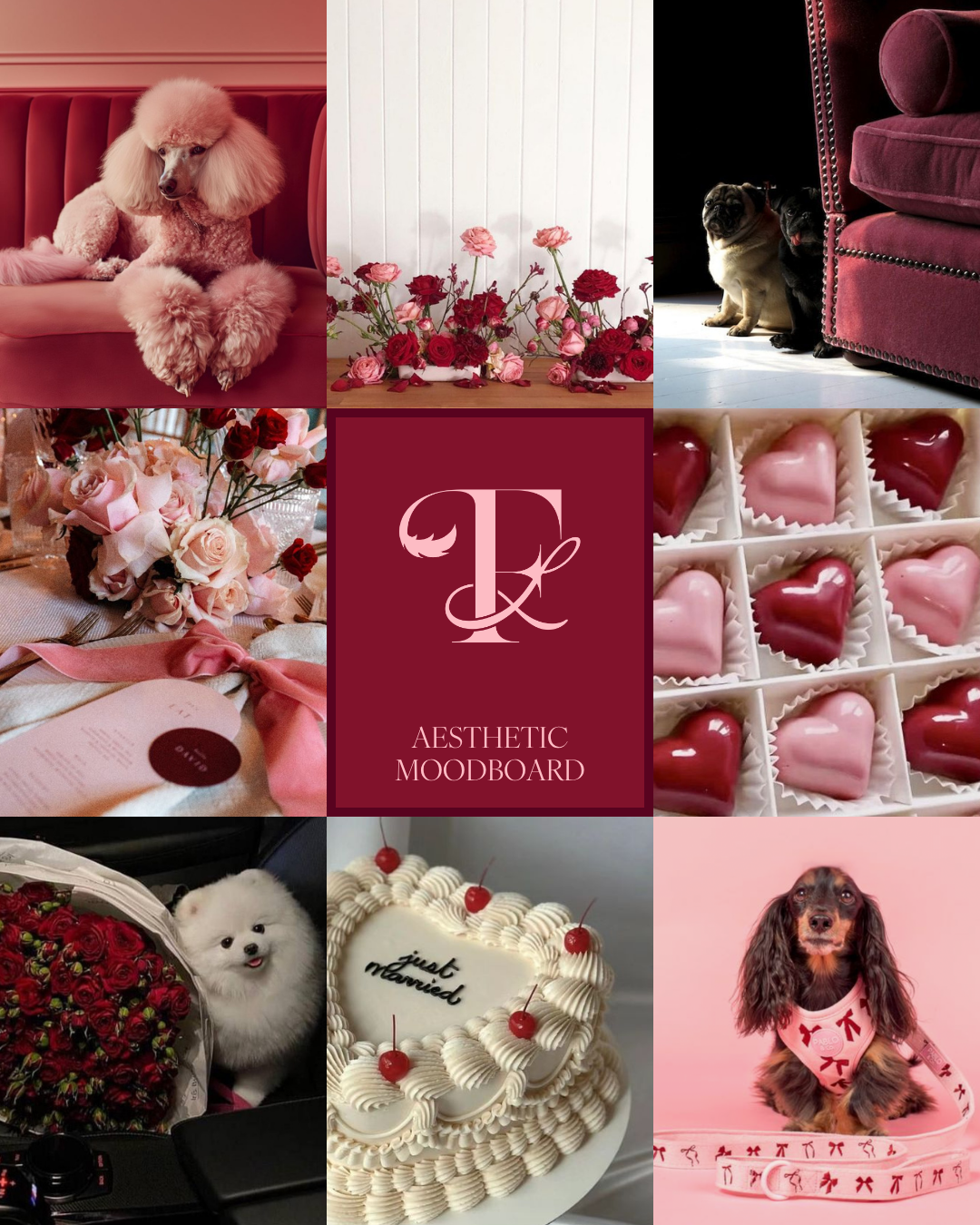 Furever Lasting gallery photo 4