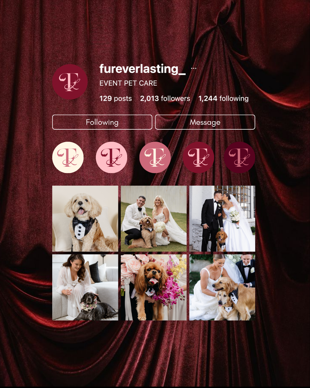 Furever Lasting gallery photo 8